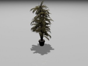 indian chigary plant Modello 3D