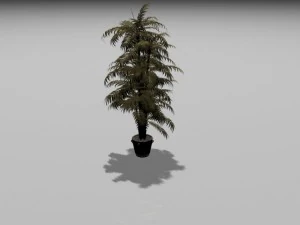 Hint chigary bitkisi 3D Model