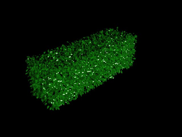 plants Model 3D .c4d .max .obj .3ds .fbx .stl .blend 