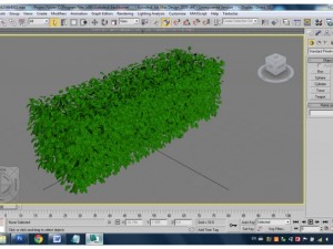 plants Model 3D