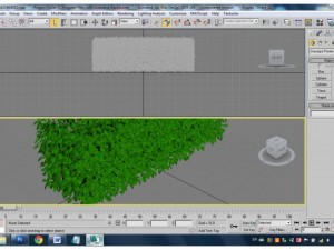plants Model 3D
