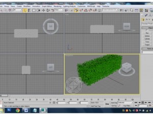plants Model 3D