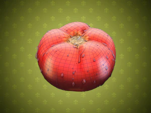 tomatoes 3D Model