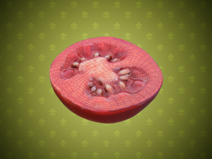 tomatoes Modèle 3D