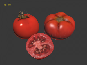 tomatoes Modèle 3D