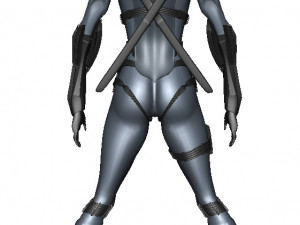 Girl Assassin Fighter 3D Model