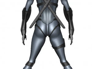 Girl Assassin Fighter 3D Model