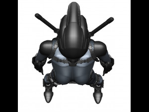 Girl Assassin Fighter 3D Model