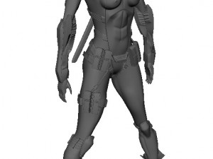 Girl Assassin Fighter 3D Model