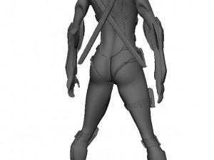 Girl Assassin Fighter 3D Model