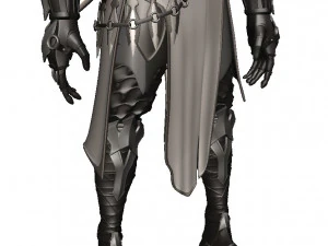 Man Assassin Fighter 3D Model