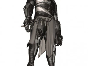 Man Assassin Fighter 3D Model