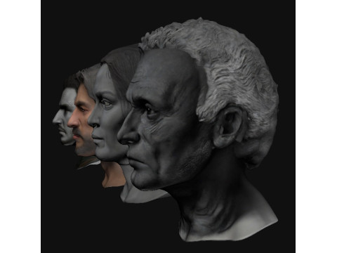 Heads 3D 模型