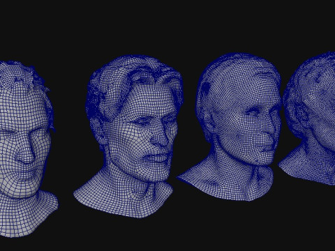 Heads 3D 模型