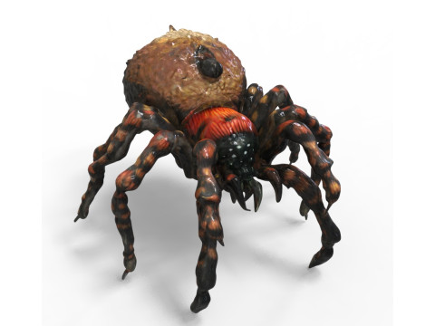 Spider Creature 3Dモデル