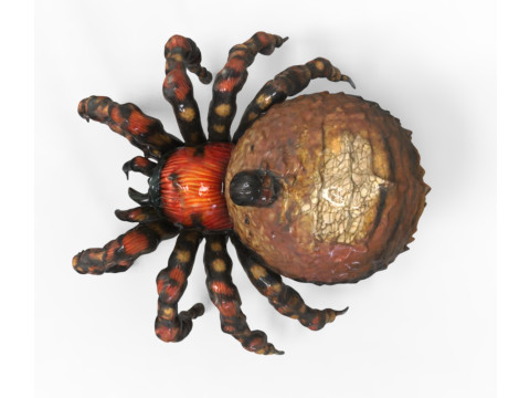 Spider Creature 3Dモデル
