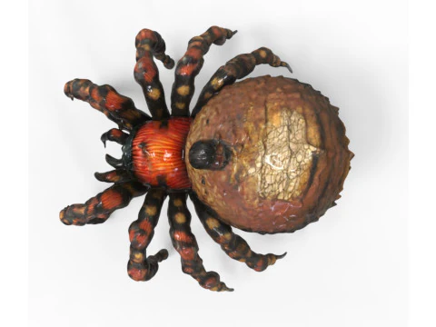 Creatura ragno Modello 3D