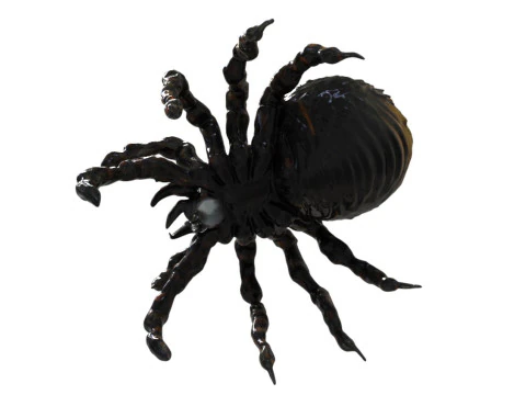 Creatura ragno Modello 3D