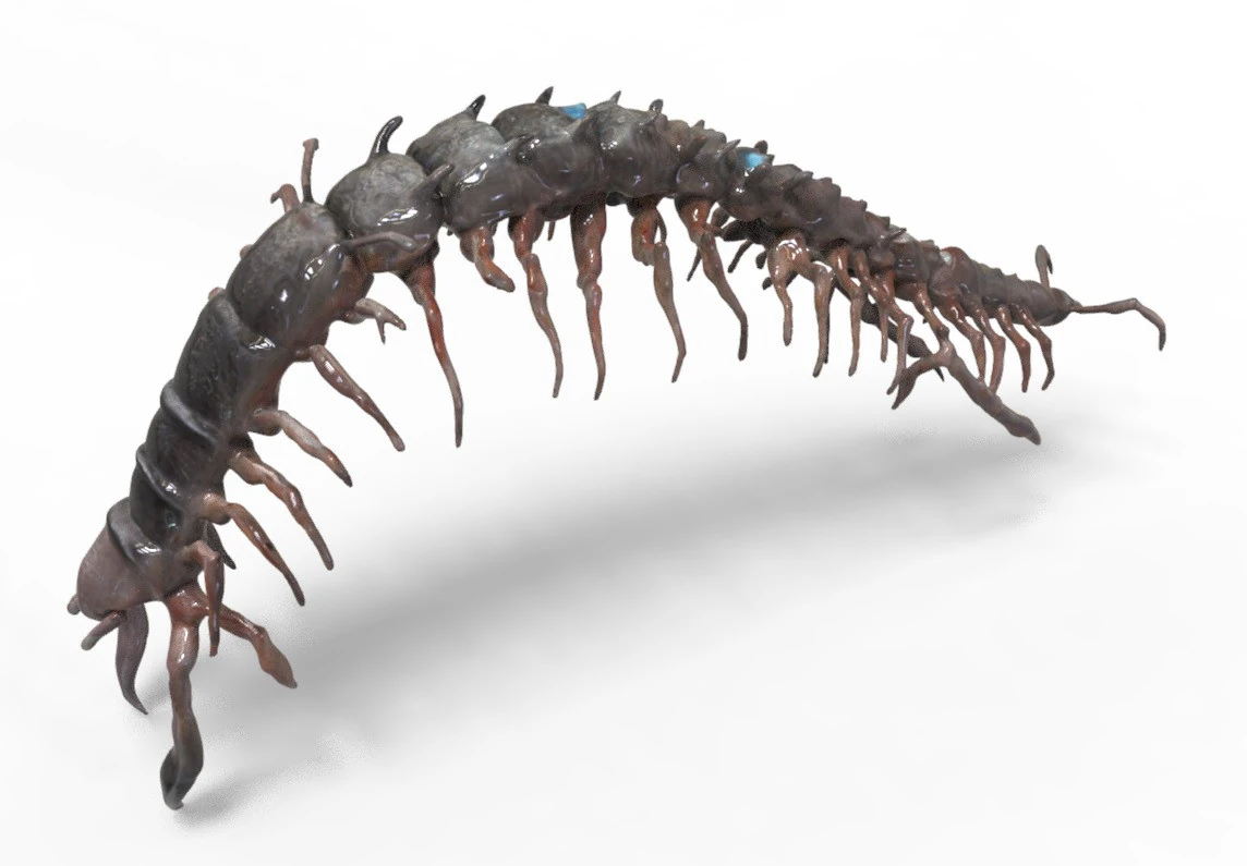 Centipede Creature 3D Model .c4d .max .obj .3ds .fbx .stl .blend 