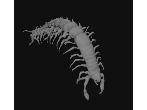Centipede Creature 3D Model