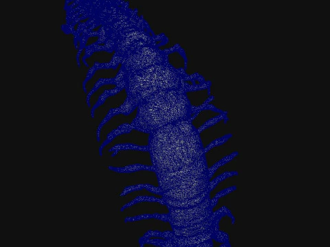 Centipede Creature 3D Model