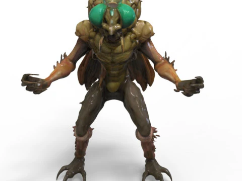 Monster Fly 3D Model