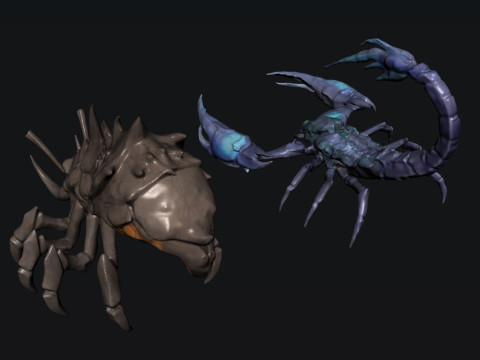Creature Scorpion Modello 3D