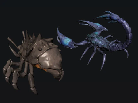 Creature Scorpion 3D Model