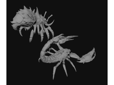 Creature Scorpion Modello 3D