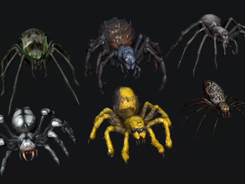 Spider Model 3D