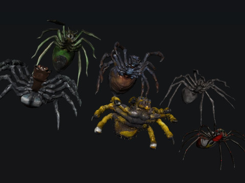 Spider 3Dモデル