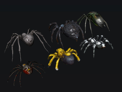 Spider 3Dモデル