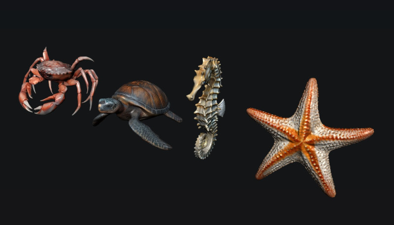 Sea Animals 3Dモデル .c4d .max .obj .3ds .fbx .stl .blend 