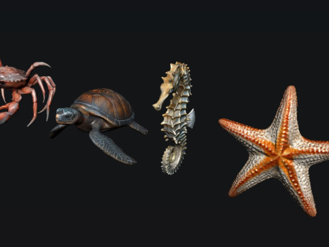 Sea Animals 3Dモデル