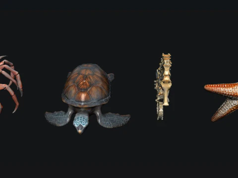 海の動物たち 3Dモデル
