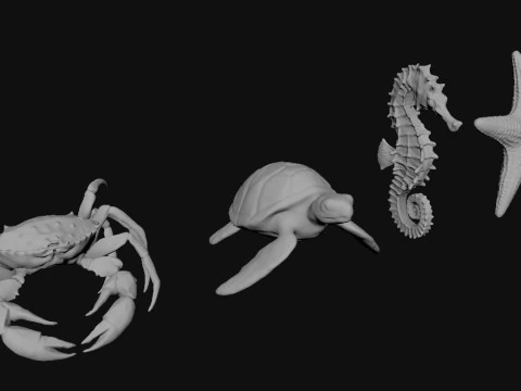 海の動物たち 3Dモデル