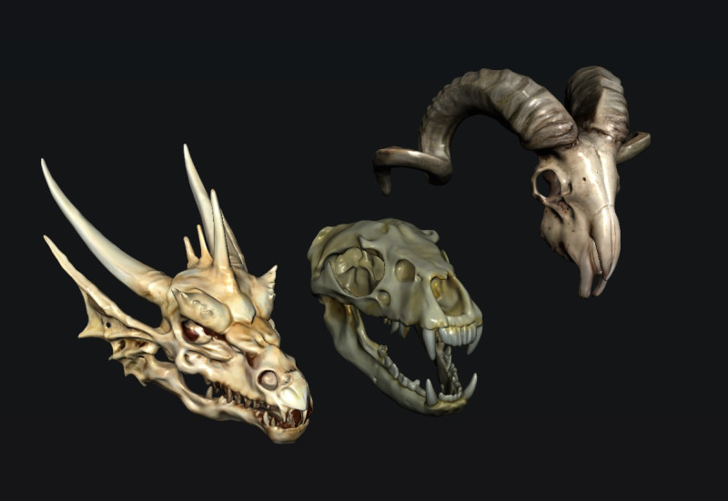 Skull Animal 3D Модель .c4d .max .obj .3ds .fbx .stl .blend 