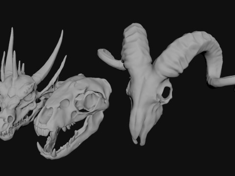 Skull Animal 3D Модель