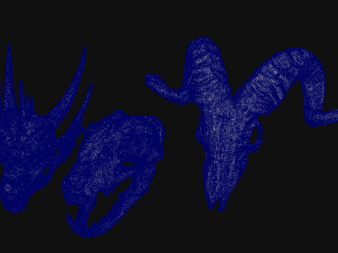 Skull Animal 3D Модель