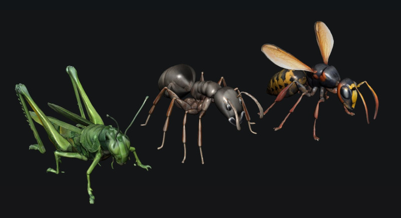 Animals Insect Modelo 3D .c4d .max .obj .3ds .fbx .stl .blend 