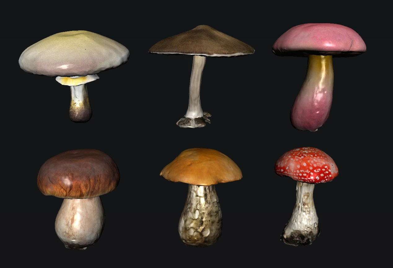 キノコ 3Dモデル .c4d .max .obj .3ds .fbx .stl .blend 
