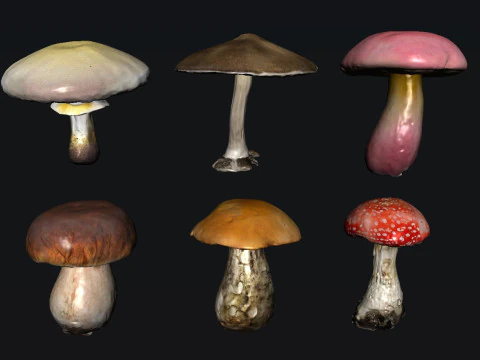 Гриб 3D Модель