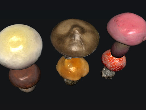 Mushroom 3Dモデル