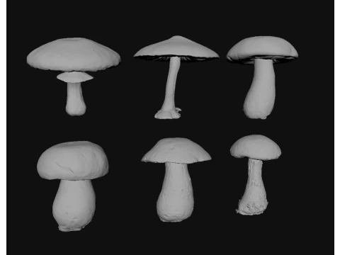 キノコ 3Dモデル