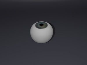 eye Model 3D