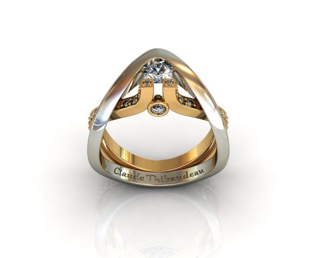 claude thibaudeau 3D Model .c4d .max .obj .3ds .fbx .stl .blend 