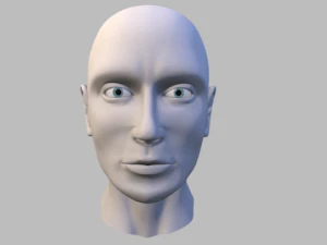 男性の頭歯歯茎 3Dモデル