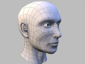 male headuvteethgums 3D-Modell