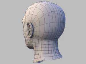 male headuvteethgums 3D Model