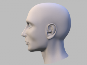 male headuvteethgums 3D-Modell